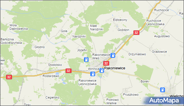 mapa Rakoniewice Wieś, Rakoniewice Wieś na mapie Targeo