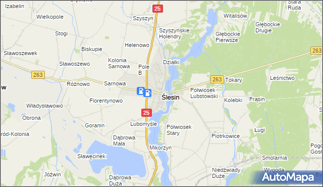 mapa Ślesin powiat koniński, Ślesin powiat koniński na mapie Targeo