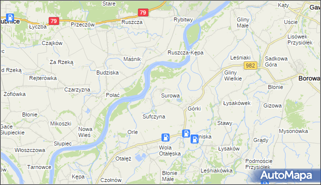 mapa Surowa gmina Borowa, Surowa gmina Borowa na mapie Targeo
