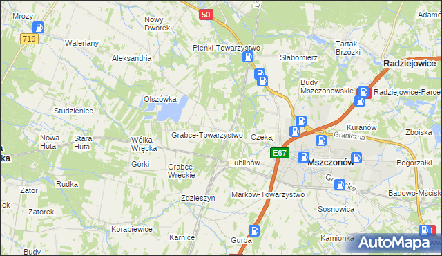 mapa Świnice gmina Mszczonów, Świnice gmina Mszczonów na mapie Targeo