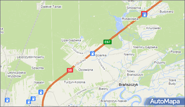 mapa Trzcianka gmina Brańszczyk, Trzcianka gmina Brańszczyk na mapie Targeo