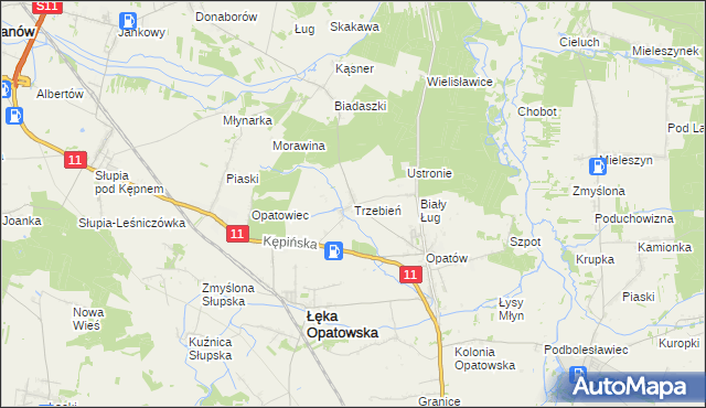 mapa Trzebień gmina Łęka Opatowska, Trzebień gmina Łęka Opatowska na mapie Targeo