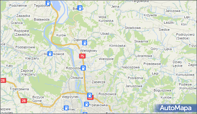 mapa Wielopole gmina Chełmiec, Wielopole gmina Chełmiec na mapie Targeo