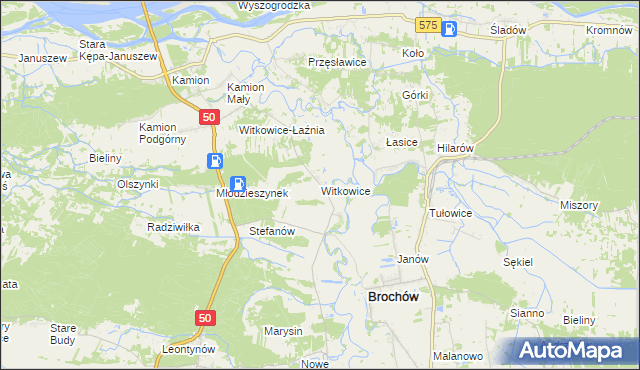 mapa Witkowice gmina Młodzieszyn, Witkowice gmina Młodzieszyn na mapie Targeo