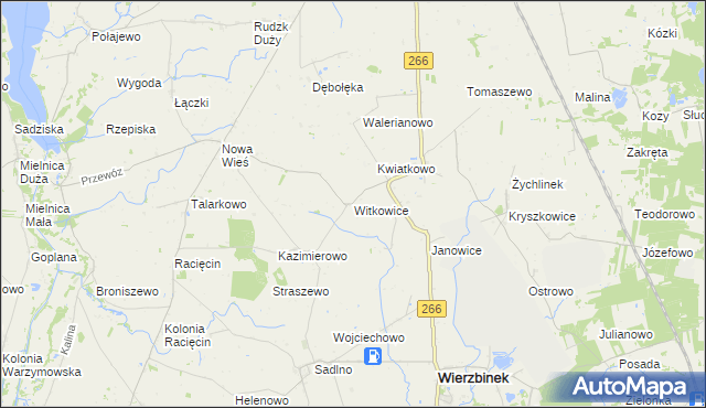 mapa Witkowice gmina Wierzbinek, Witkowice gmina Wierzbinek na mapie Targeo