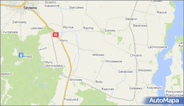 mapa Witkowo gmina Strzelno, Witkowo gmina Strzelno na mapie Targeo