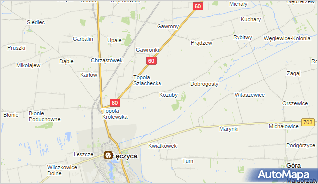 mapa Kozuby gmina Łęczyca, Kozuby gmina Łęczyca na mapie Targeo