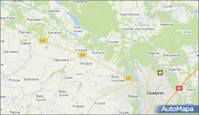 mapa Nagodów gmina Gostynin, Nagodów gmina Gostynin na mapie Targeo