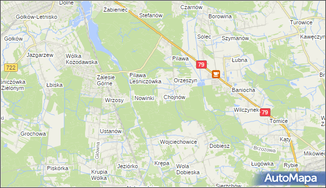 mapa Chojnów gmina Piaseczno, Chojnów gmina Piaseczno na mapie Targeo