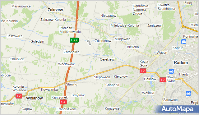 mapa Cerekiew gmina Zakrzew, Cerekiew gmina Zakrzew na mapie Targeo