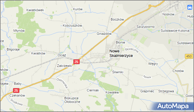 mapa Skalmierzyce, Skalmierzyce na mapie Targeo