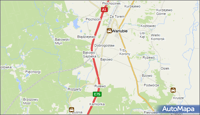 mapa Bąkowo gmina Warlubie, Bąkowo gmina Warlubie na mapie Targeo