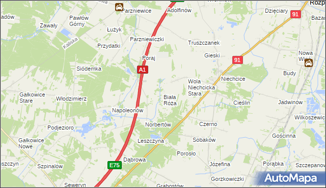 mapa Biała Róża gmina Rozprza, Biała Róża gmina Rozprza na mapie Targeo