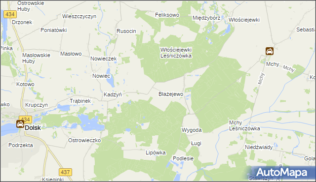 mapa Błażejewo gmina Dolsk, Błażejewo gmina Dolsk na mapie Targeo