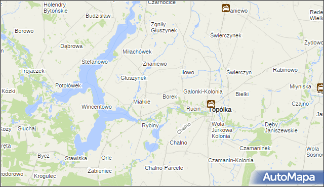 mapa Borek gmina Topólka, Borek gmina Topólka na mapie Targeo