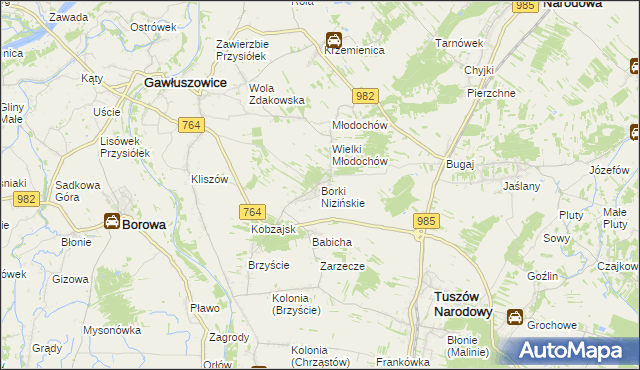 mapa Borki Nizińskie, Borki Nizińskie na mapie Targeo