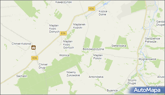 mapa Borkowszczyzna, Borkowszczyzna na mapie Targeo