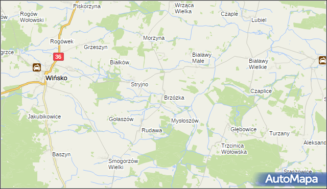 mapa Brzózka gmina Wińsko, Brzózka gmina Wińsko na mapie Targeo