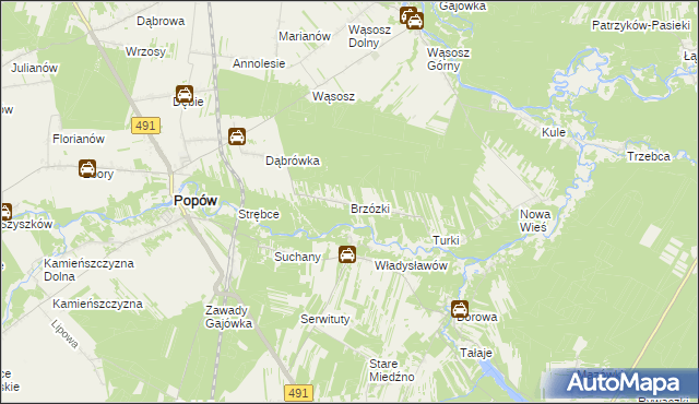 mapa Brzózki gmina Popów, Brzózki gmina Popów na mapie Targeo