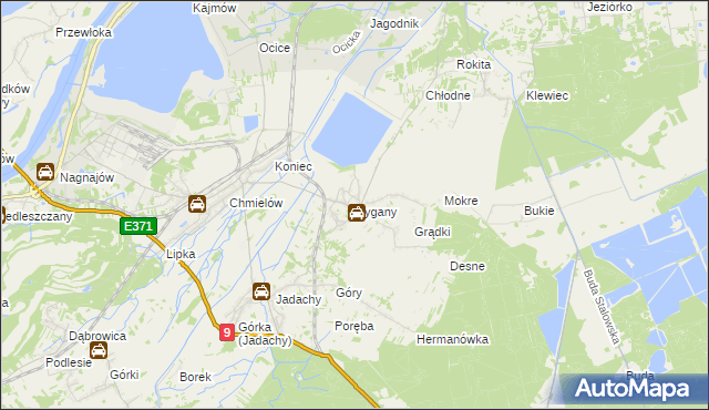 mapa Cygany gmina Nowa Dęba, Cygany gmina Nowa Dęba na mapie Targeo