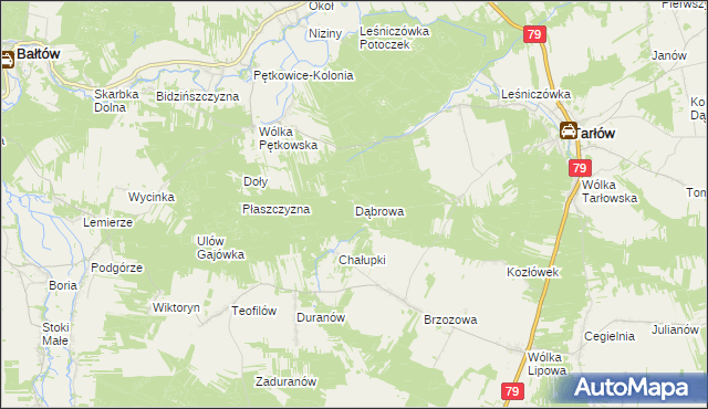 mapa Dąbrowa gmina Tarłów, Dąbrowa gmina Tarłów na mapie Targeo