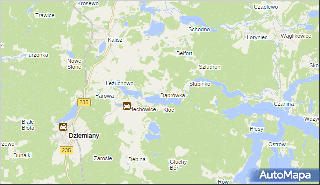 mapa Dąbrówka gmina Dziemiany, Dąbrówka gmina Dziemiany na mapie Targeo