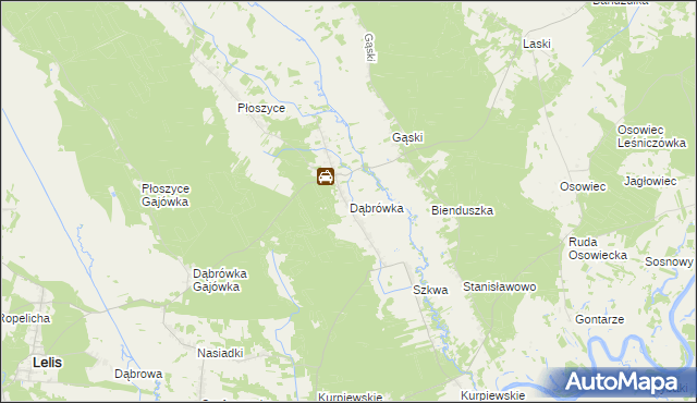 mapa Dąbrówka gmina Lelis, Dąbrówka gmina Lelis na mapie Targeo