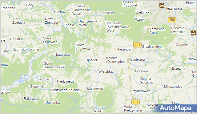 mapa Dziewiątle, Dziewiątle na mapie Targeo
