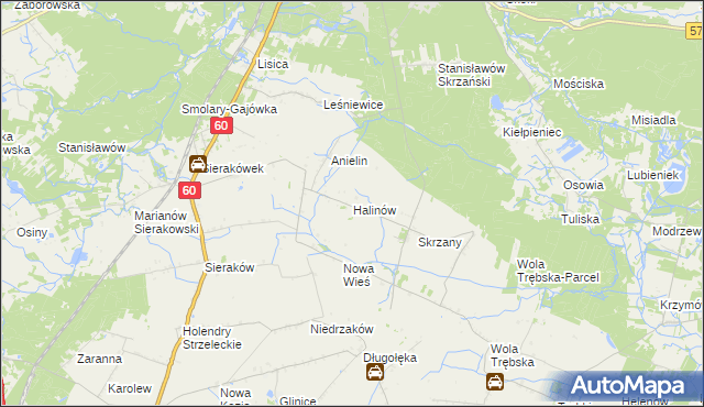 mapa Halinów gmina Gostynin, Halinów gmina Gostynin na mapie Targeo