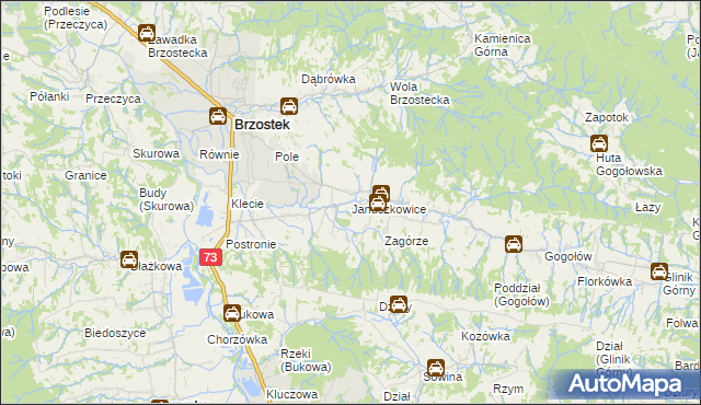 mapa Januszkowice gmina Brzostek, Januszkowice gmina Brzostek na mapie Targeo