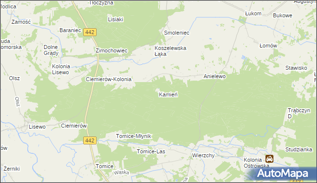 mapa Kamień gmina Pyzdry, Kamień gmina Pyzdry na mapie Targeo