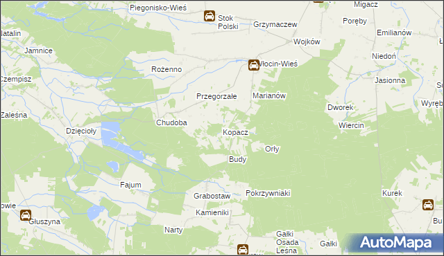 mapa Kopacz gmina Błaszki, Kopacz gmina Błaszki na mapie Targeo