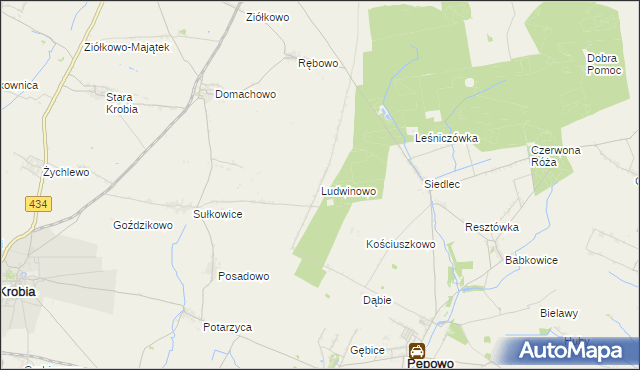 mapa Ludwinowo gmina Pępowo, Ludwinowo gmina Pępowo na mapie Targeo