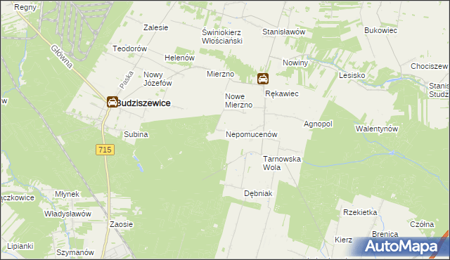 mapa Nepomucenów gmina Budziszewice, Nepomucenów gmina Budziszewice na mapie Targeo