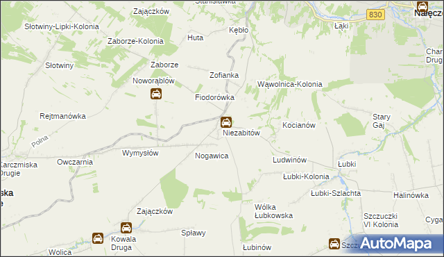 mapa Niezabitów, Niezabitów na mapie Targeo