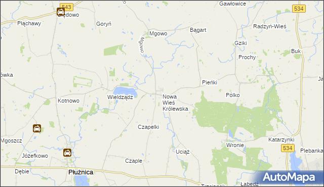 mapa Nowa Wieś Królewska gmina Płużnica, Nowa Wieś Królewska gmina Płużnica na mapie Targeo