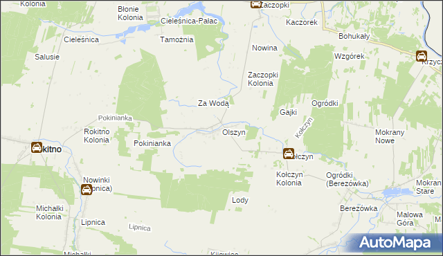 mapa Olszyn, Olszyn na mapie Targeo