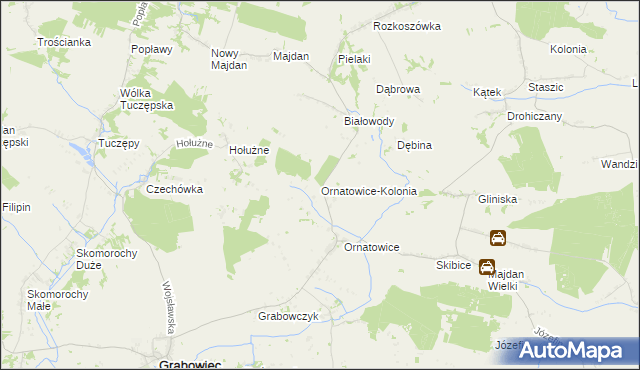mapa Ornatowice-Kolonia, Ornatowice-Kolonia na mapie Targeo
