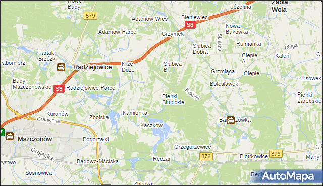 mapa Pieńki Słubickie, Pieńki Słubickie na mapie Targeo