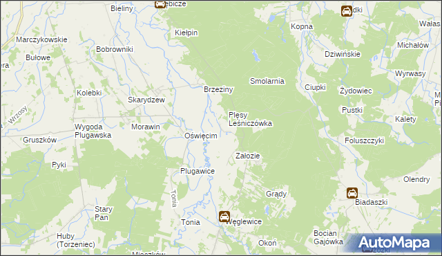 mapa Plęsy gmina Galewice, Plęsy gmina Galewice na mapie Targeo