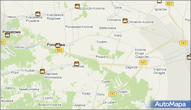 mapa Płowizny, Płowizny na mapie Targeo
