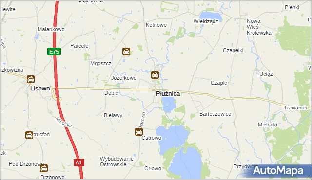 mapa Płużnica, Płużnica na mapie Targeo