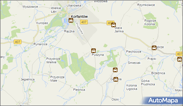 mapa Puszyna, Puszyna na mapie Targeo