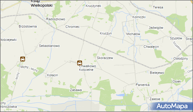 mapa Skoraczew, Skoraczew na mapie Targeo