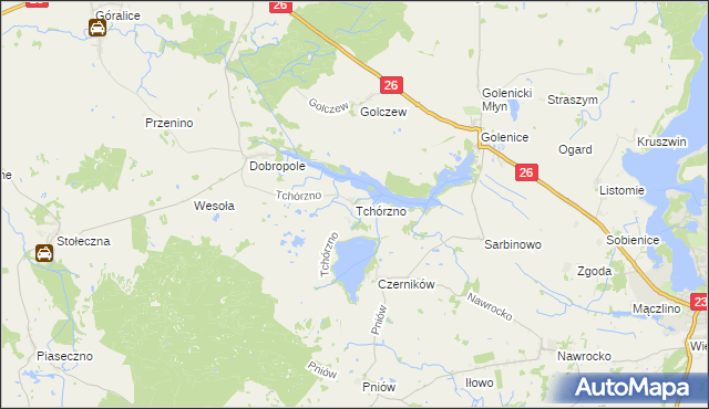 mapa Tchórzno, Tchórzno na mapie Targeo