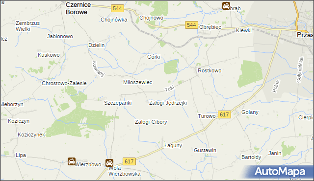 mapa Toki gmina Czernice Borowe, Toki gmina Czernice Borowe na mapie Targeo