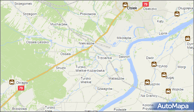 mapa Trzcianka gmina Osiek, Trzcianka gmina Osiek na mapie Targeo
