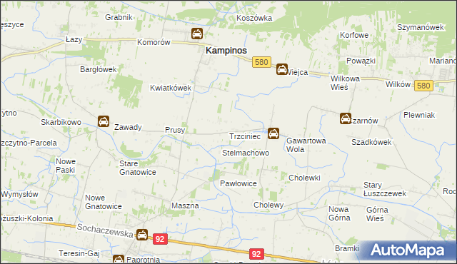 mapa Trzciniec gmina Leszno, Trzciniec gmina Leszno na mapie Targeo