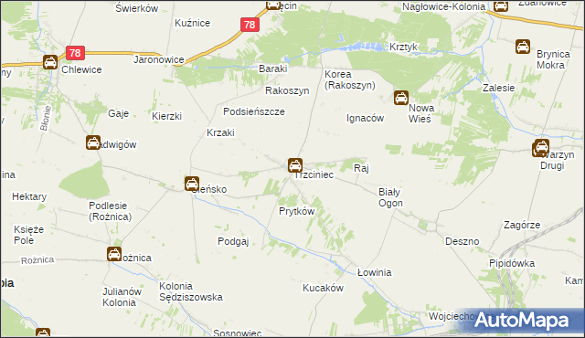 mapa Trzciniec gmina Nagłowice, Trzciniec gmina Nagłowice na mapie Targeo