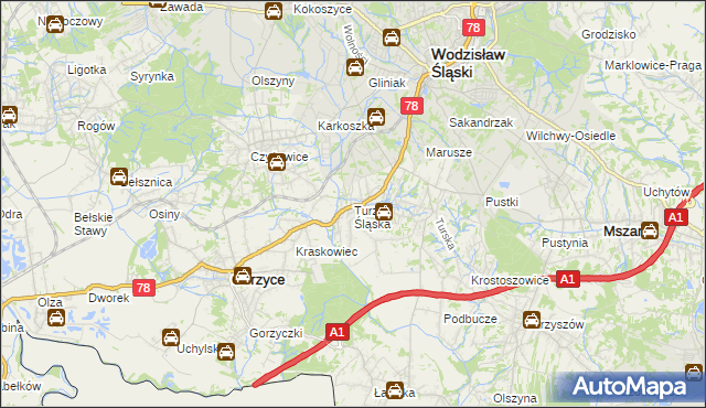 mapa Turza Śląska, Turza Śląska na mapie Targeo